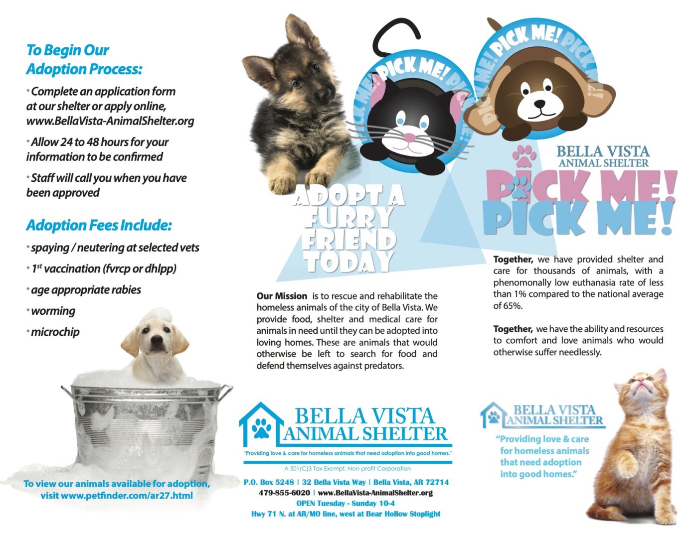 Adoptions Bella Vista Animal Shelter