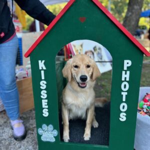 A dog sitting in the front of a green doghouse.