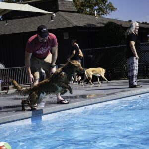 A man and his dog playing in the pool